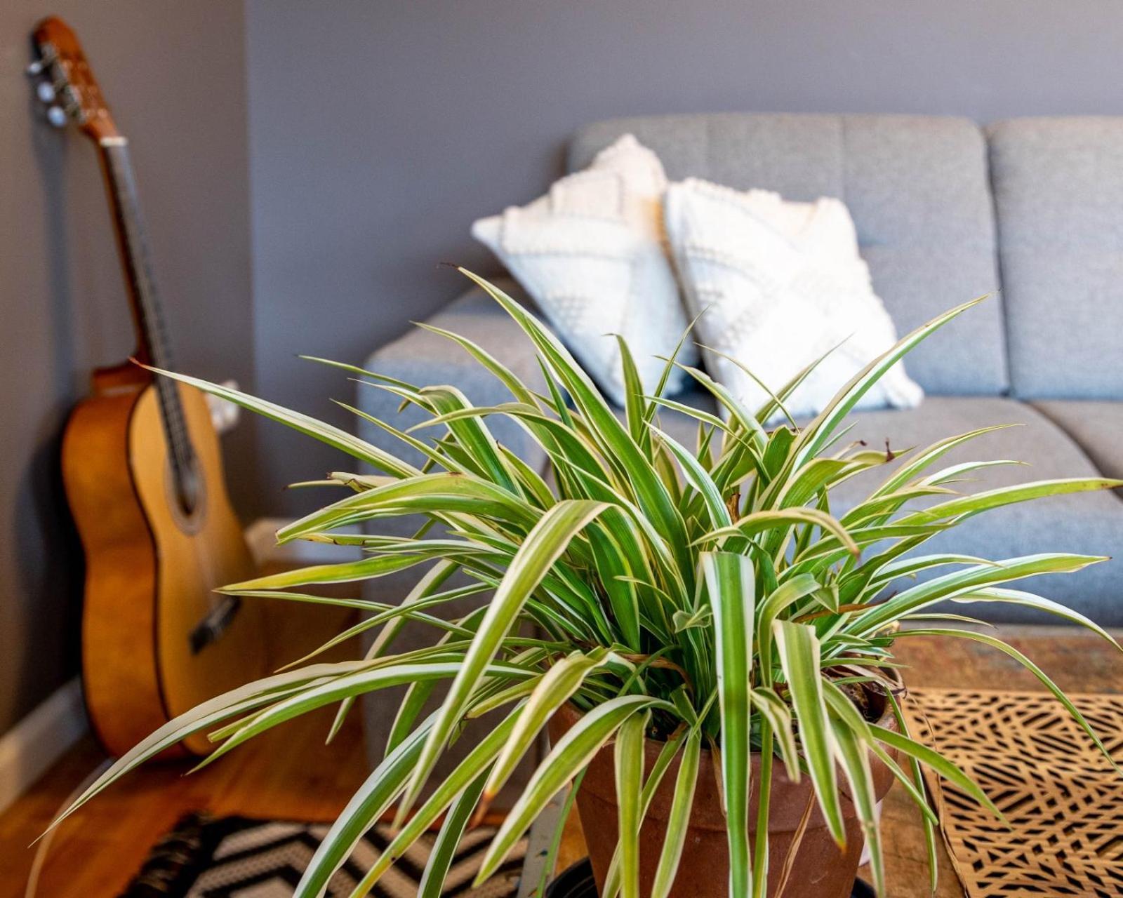 Apartament Epinal, Centre / Gare Zewnętrze zdjęcie